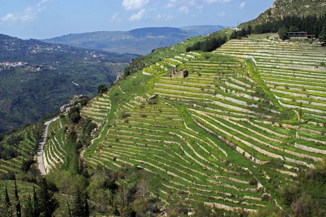 Old terrace cultivation in Jezzine, Lebanon