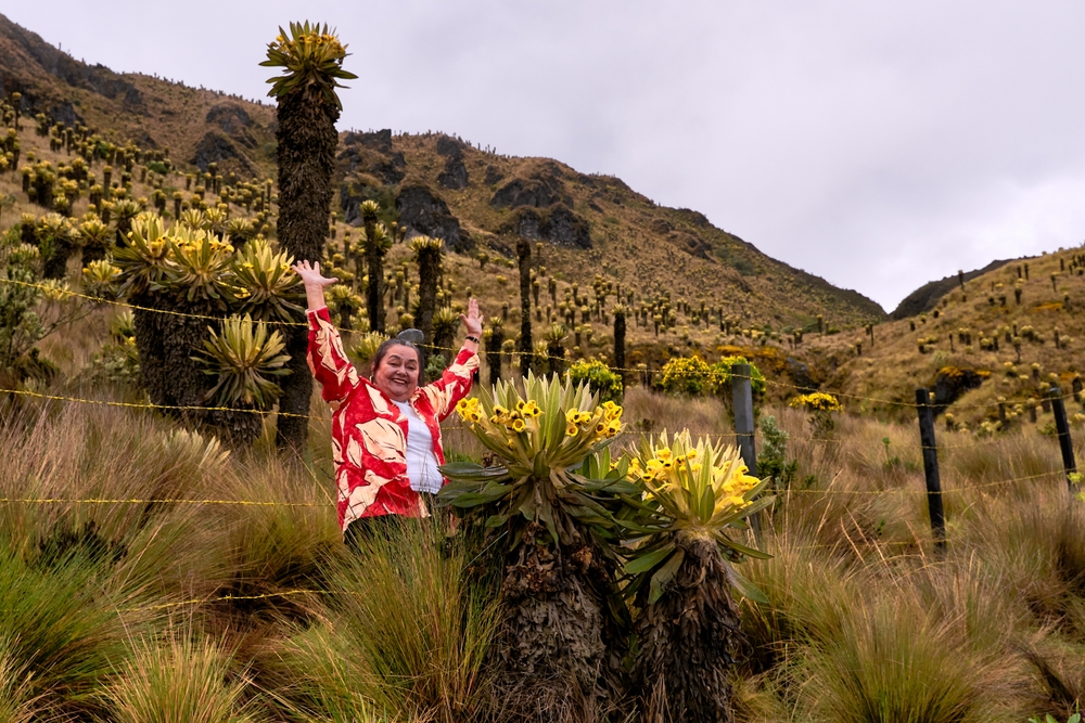 Adventure Awaits in Los Nevados National Park, Colombia